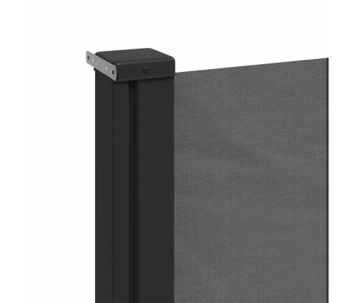 Toldo lateral retráctil gris antracita 220x500 cm