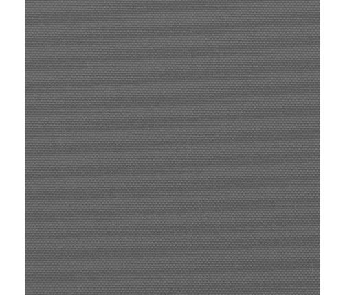Toldo lateral retráctil gris antracita 220x500 cm
