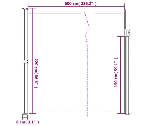 Toldo lateral retráctil beige 220x600 cm