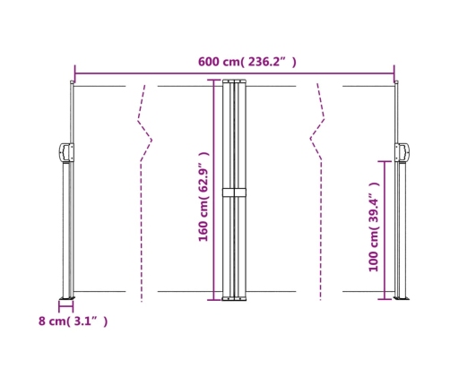 Toldo lateral retráctil negro 160x600 cm