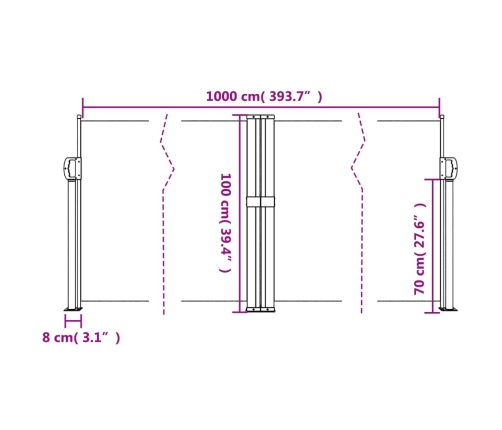 Toldo lateral retráctil negro 100x1000 cm