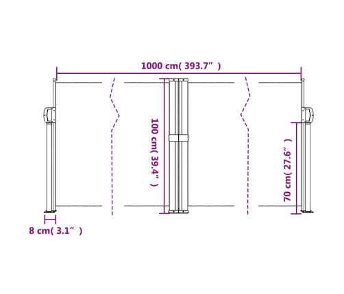 Toldo lateral retráctil gris antracita 100x1000 cm