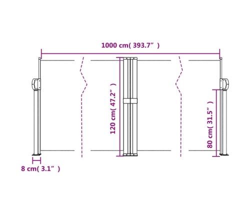 Toldo lateral retráctil negro 120x1000 cm