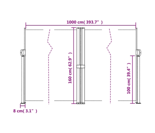 Toldo lateral retráctil negro 160x1000 cm