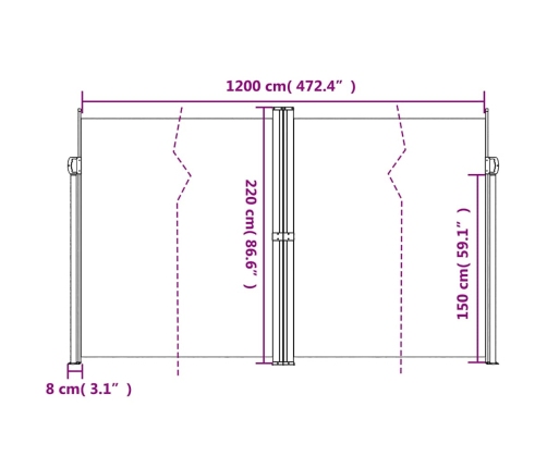 Toldo lateral retráctil antracita 220x1200 cm