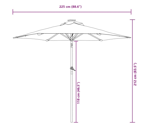 Sombrilla de jardín con poste de acero antracita 225x225x212 cm