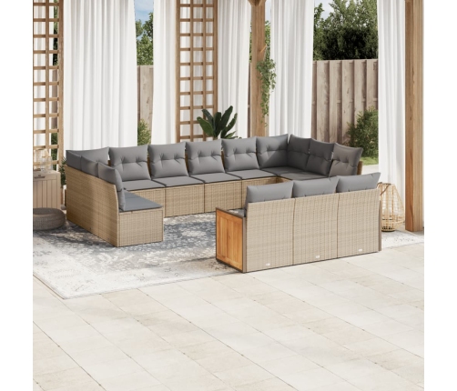 Set de sofás de jardín y cojines 13 pzas ratán sintético beige