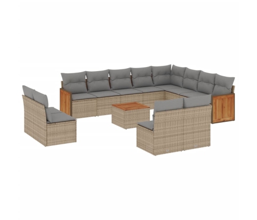 Set sofás de jardín con cojines 13 pzas ratán sintético beige