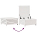 Set muebles jardín 5 pzas con cojines madera maciza pino blanco