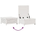 Set muebles jardín 6 pzas con cojines madera maciza pino blanco