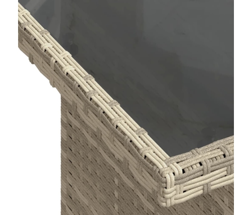 Set muebles jardín 9 pzas y cojines ratán sintético gris claro