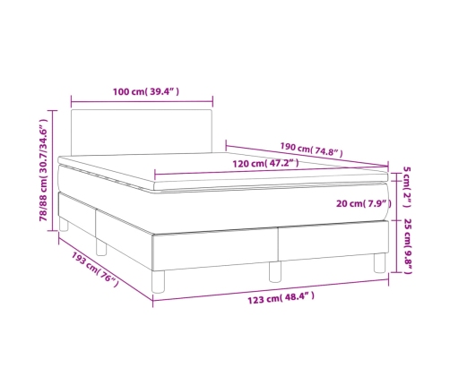 Cama box spring con colchón terciopelo gris oscuro 120x190 cm