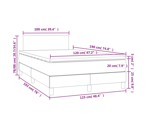 Cama box spring colchón y LED terciopelo gris oscuro 120x190 cm