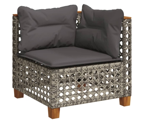 Set de muebles de jardín 9 pzas y cojines ratán sintético gris