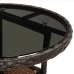 Set comedor jardín 5 pzas cojines ratán sintético vidrio marrón