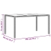 Set comedor jardín 7 pzas y cojines ratán sintético vidrio gris