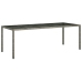 Set comedor jardín 11 pzas cojines ratán sintético vidrio gris