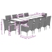 Set comedor jardín 11 pzas cojines ratán sintético vidrio gris