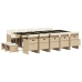 Set comedor de jardín con cojines 15 pzas ratán sintético beige
