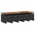 Set comedor de jardín con cojines 15 pzas ratán sintético negro