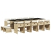 Set comedor de jardín con cojines 15 pzas ratán sintético beige