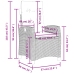 Set comedor de jardín 5 piezas con cojines ratán sintético gris