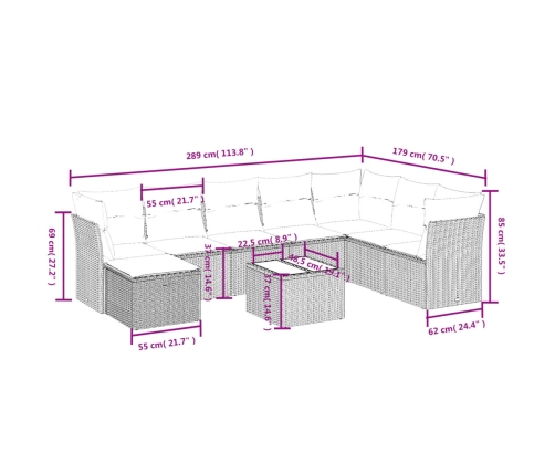 Set de muebles de jardín 9 pzas y cojines ratán sintético gris