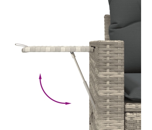 Set muebles jardín 9 pzas y cojines ratán sintético gris claro