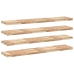 vidaXL Estantes flotantes 4 uds madera acacia sin tratar 160x30x4 cm