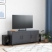 Mueble de TV acero gris antracita 100,5x39x43,5 cm