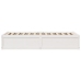 Estructura de cama sin colchón madera maciza blanca 75x190 cm