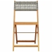 Set de comedor de jardín 5 piezas ratán PE madera maciza gris