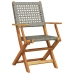 Set de comedor de jardín 5 piezas ratán PE madera maciza gris