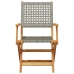 Set de comedor de jardín 5 piezas ratán PE madera maciza gris