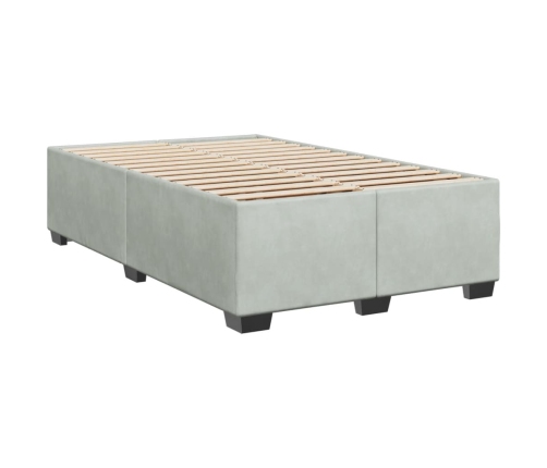 Estructura de cama sin colchón terciopelo gris claro 120x190 cm