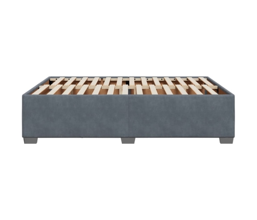 Estructura de cama sin colchón terciopelo gris oscuro 160x200cm