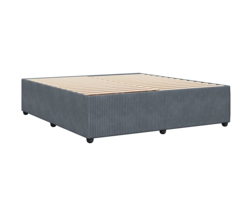 Estructura cama sin colchón terciopelo gris oscuro 200x200 cm