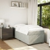 Cama box spring con colchón terciopelo gris claro 100x200 cm