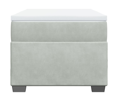 Cama box spring con colchón terciopelo gris claro 100x200 cm