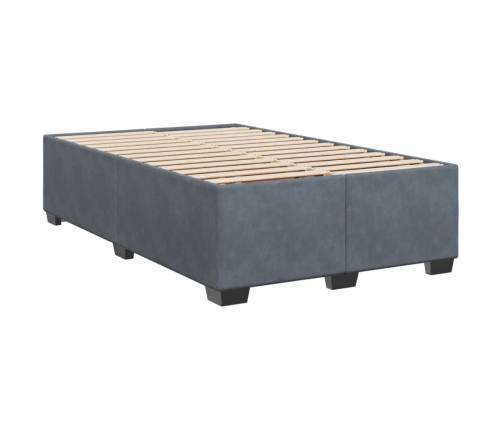 Cama box spring con colchón terciopelo gris oscuro 120x200 cm