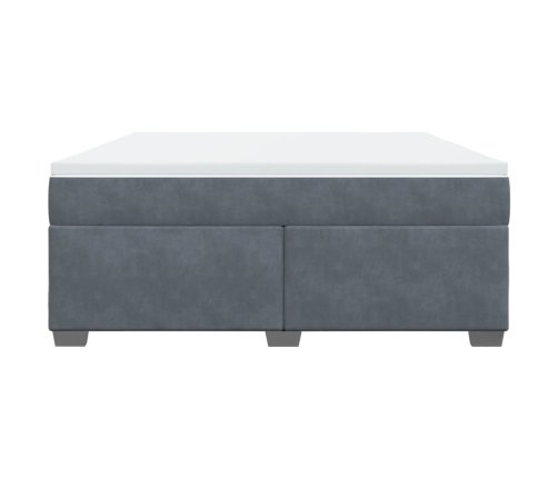 Cama box spring con colchón terciopelo gris oscuro 180x200 cm