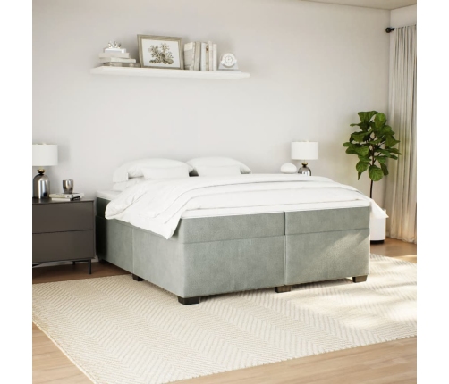 Cama box spring con colchón terciopelo gris claro 200x200 cm