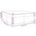 Cama box spring con colchón terciopelo gris claro 200x200 cm