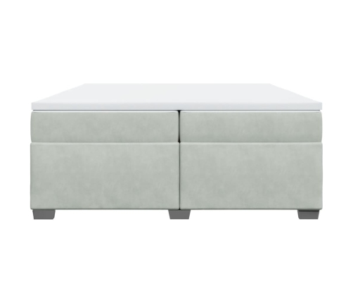 Cama box spring con colchón terciopelo gris claro 200x200 cm