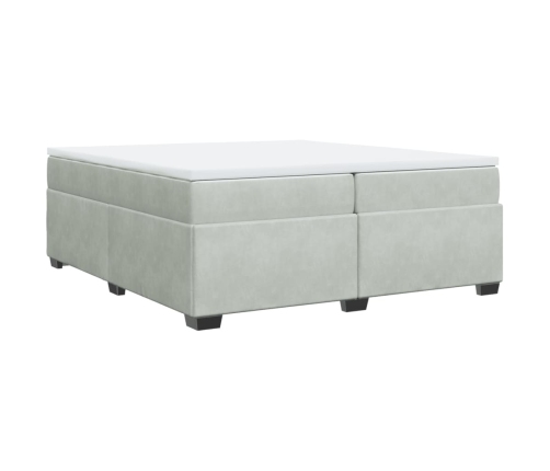 Cama box spring con colchón terciopelo gris claro 200x200 cm