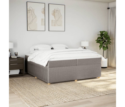 Cama box spring con colchón tela gris taupe 200x200 cm