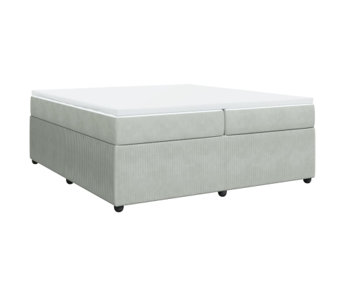 Cama box spring con colchón terciopelo gris claro 200x200 cm