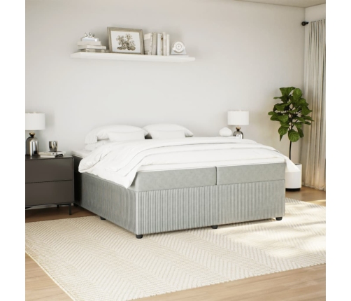 Cama box spring con colchón terciopelo gris claro 200x200 cm