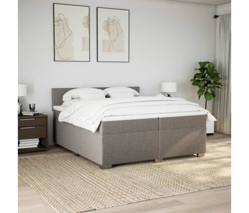 Cama box spring con colchón tela gris taupe 200x200 cm