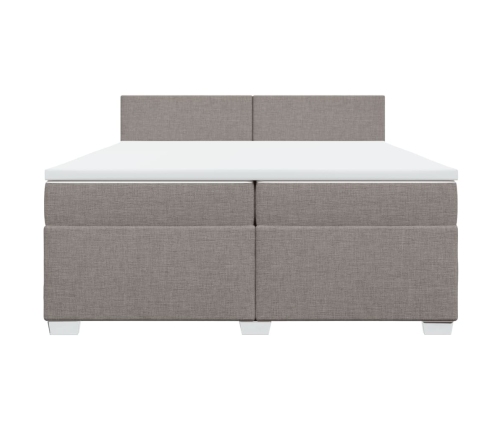 Cama box spring con colchón tela gris taupe 200x200 cm